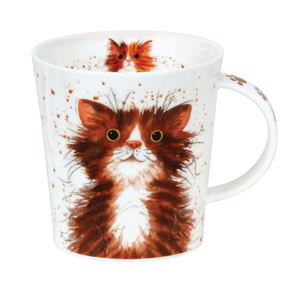 Bild von Dunoon Lomond Catter Splatter Tabby