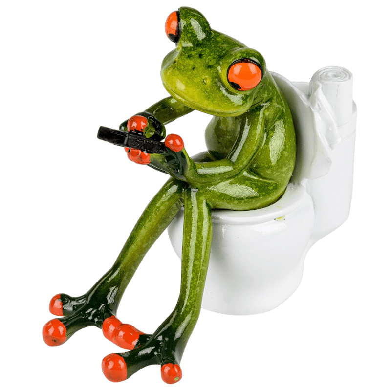 Bild von Dekofigur Frosch auf Toilette