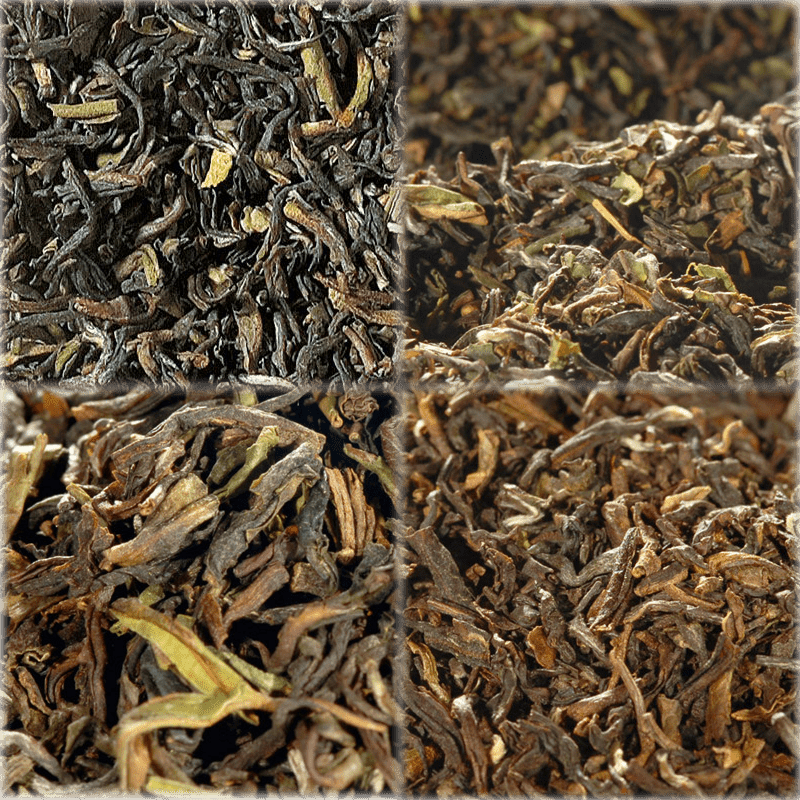 Bild von Darjeeling Einsteiger Set