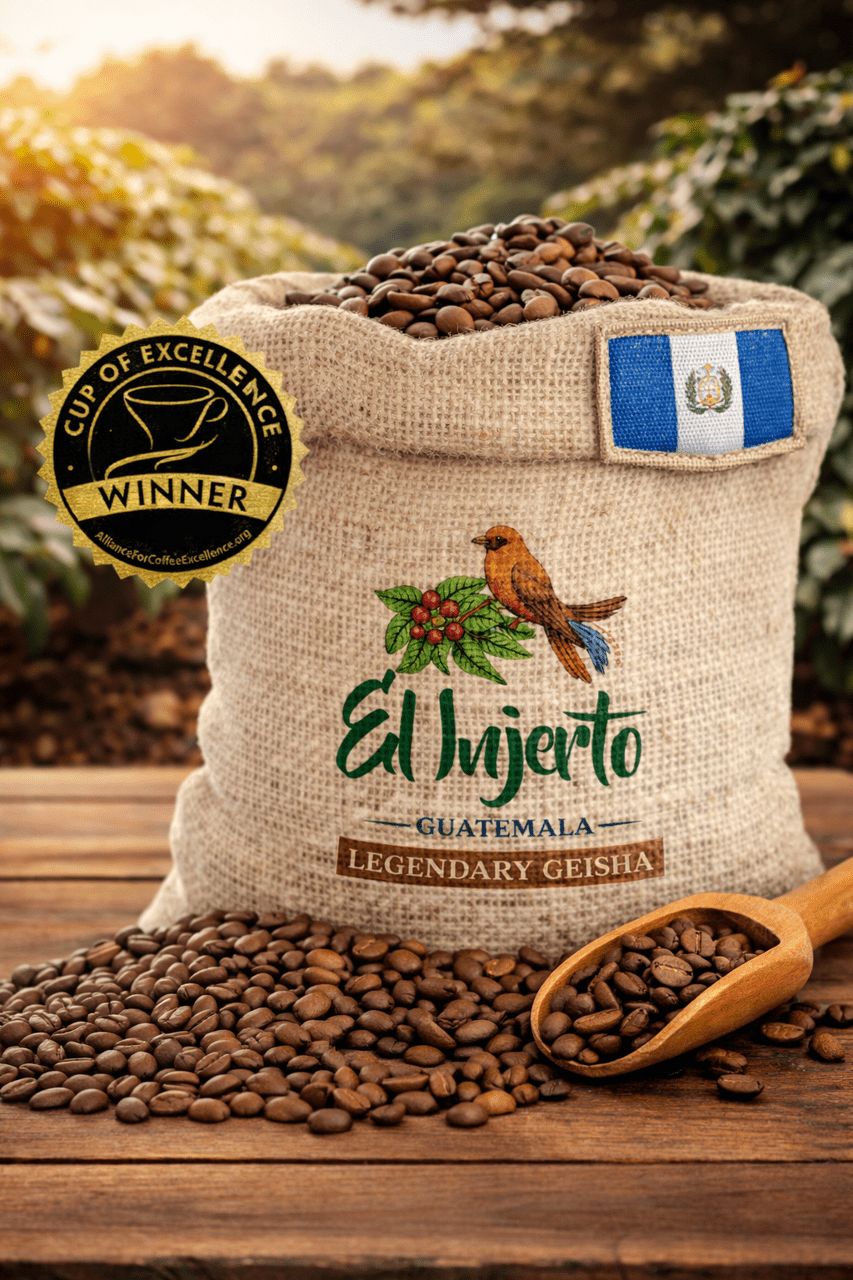 Guatemala El Injerto Legendary Geisha