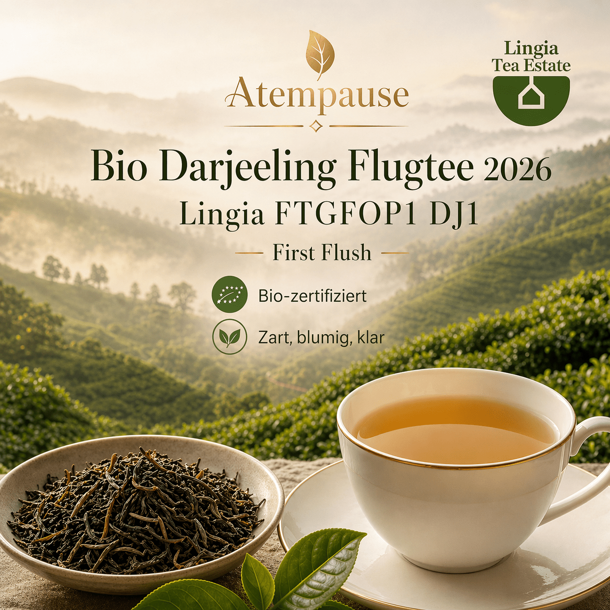Bio Darjeeling Flugtee 2026 Lingia FTGFOP1 DJ1 First Flush