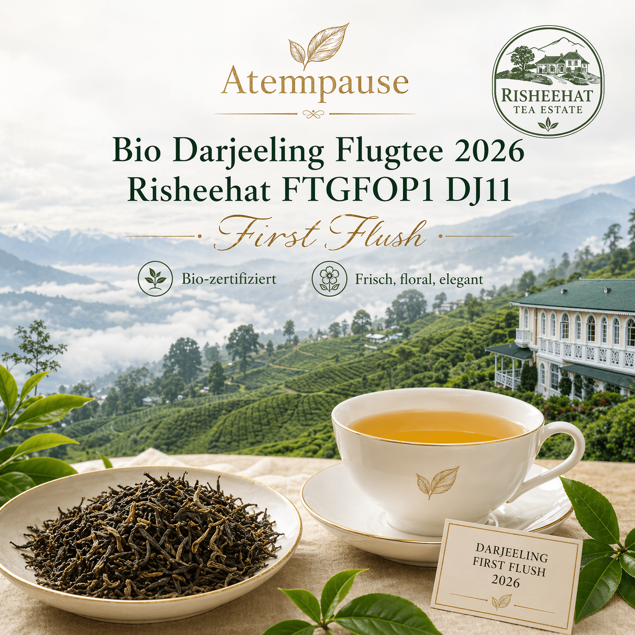 Bio Darjeeling Flugtee 2026 Risheehat FTGFOP1 DJ11 First Flush