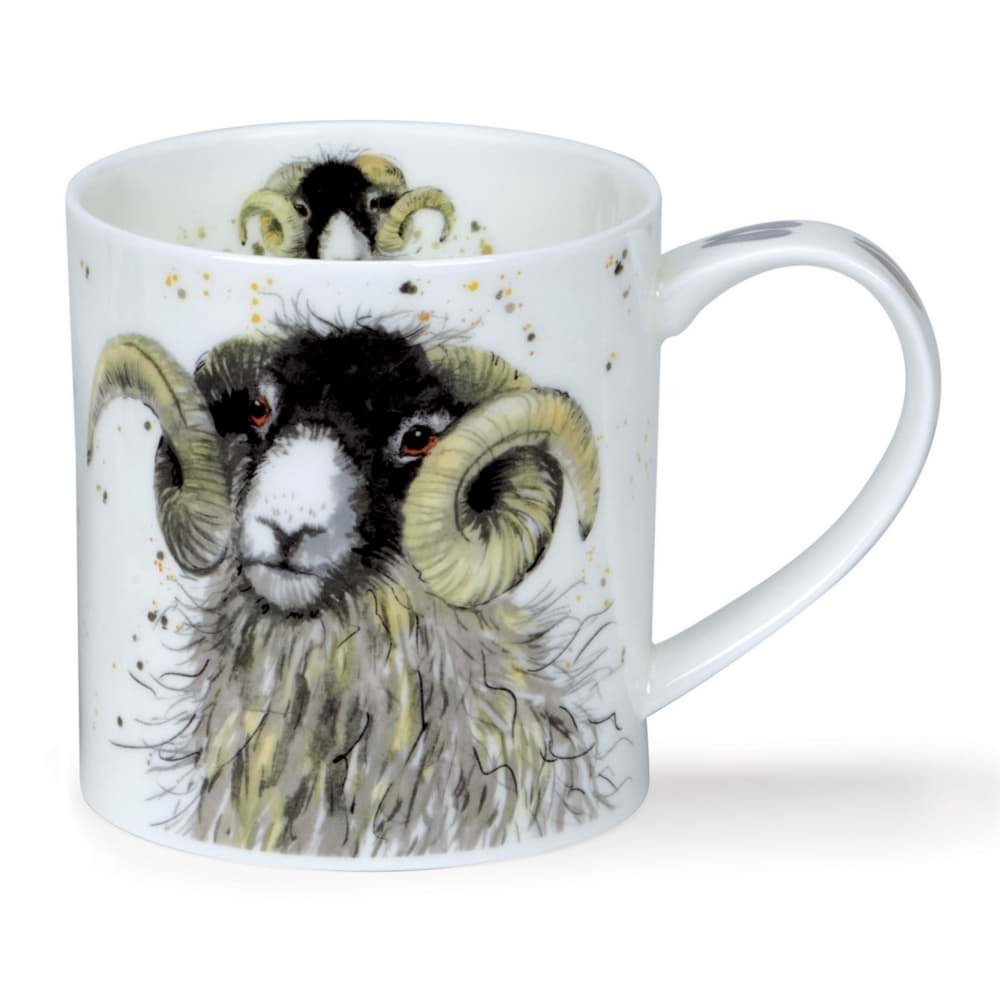 Dunoon Orkney Shaggy Sheep Swaledale